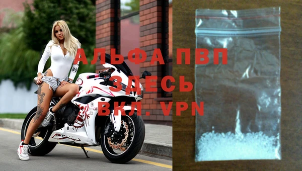 Альфа ПВП Дмитров