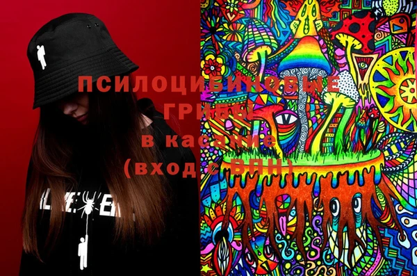 крисы Гусиноозёрск